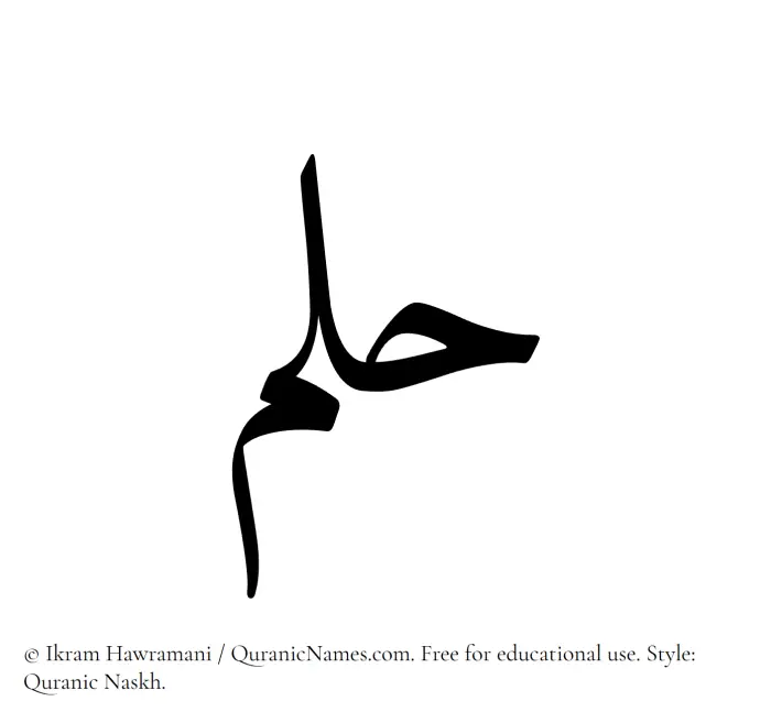 The Muslim name Hulm written in Quranic naskh script
