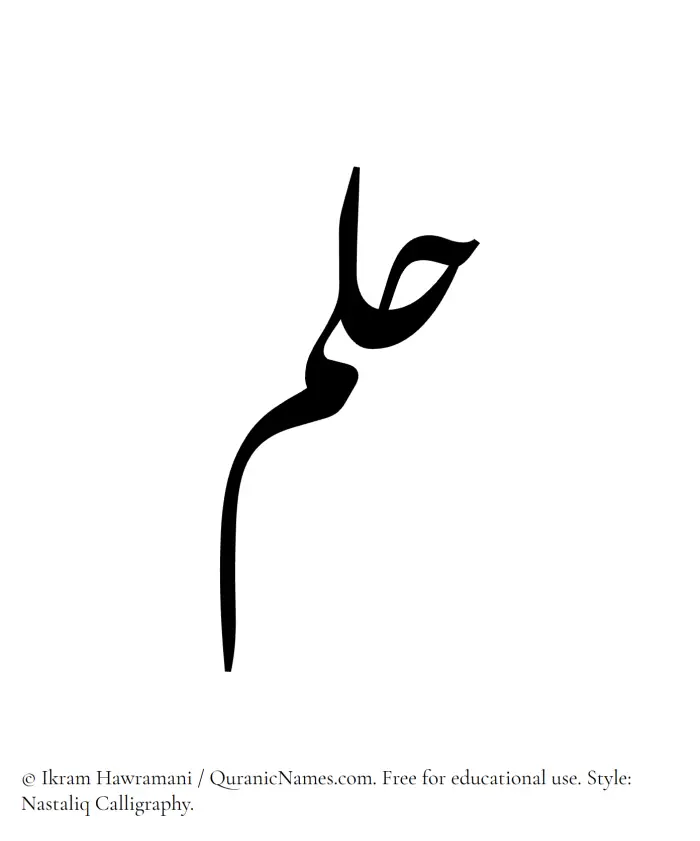 The Muslim name word Hulm written in Nastaliq calligraphic script