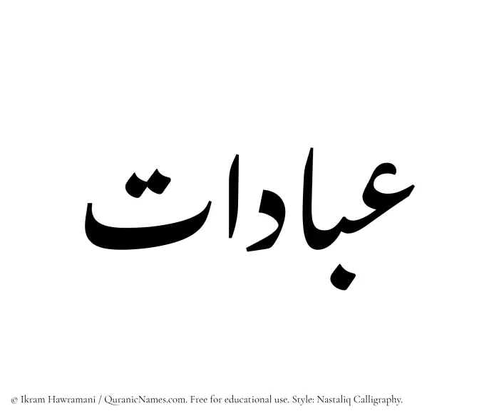 The Muslim name word Ibadaat written in Nastaliq calligraphic script