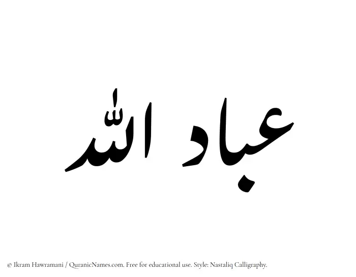 The Muslim name word Ibadullah written in Nastaliq calligraphic script