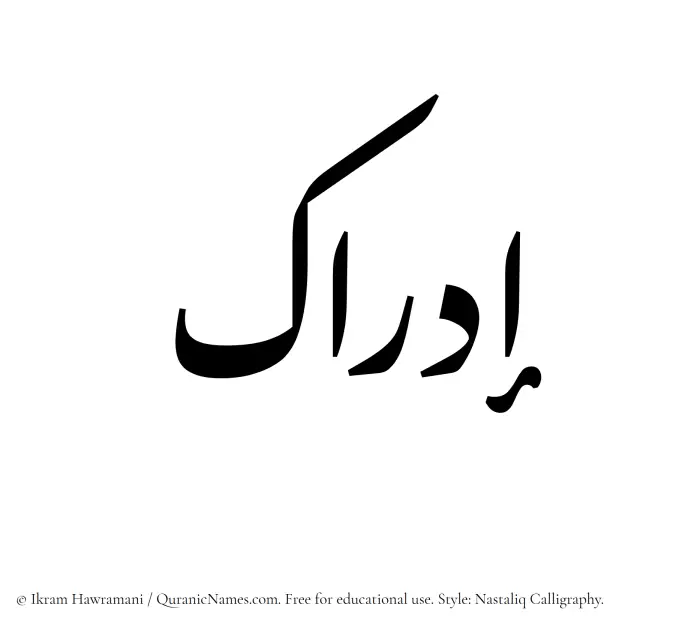 The Muslim name word Idrak written in Nastaliq calligraphic script