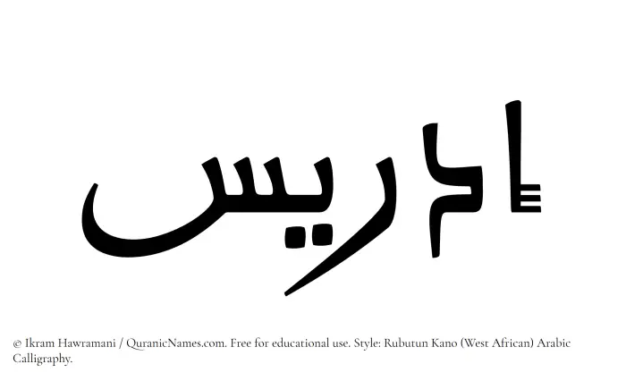 The Muslim name Idris written in Rubutun Kano calligraphic script