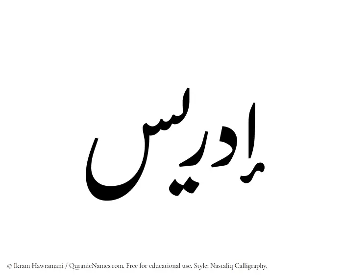 The Muslim name word Idris written in Nastaliq calligraphic script