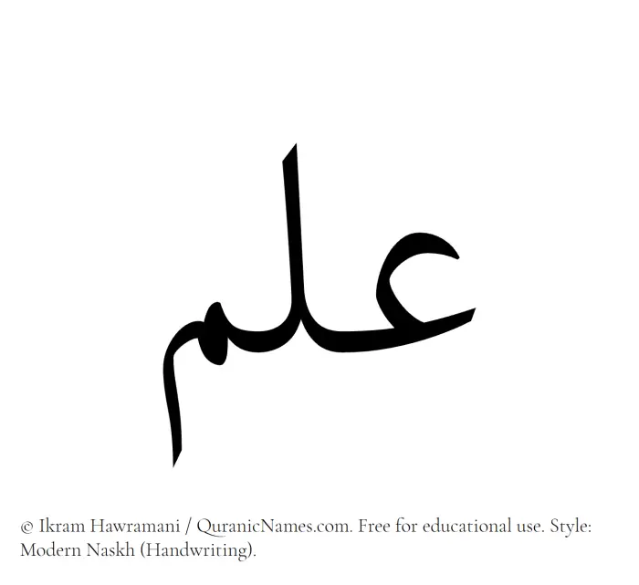 The Muslim name Ilm written in naskh script