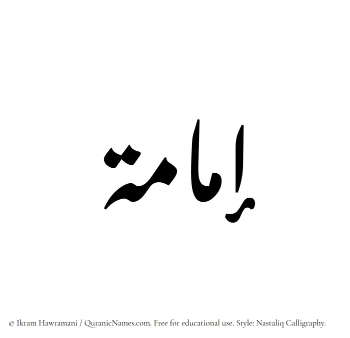 The Muslim name word Imama written in Nastaliq calligraphic script