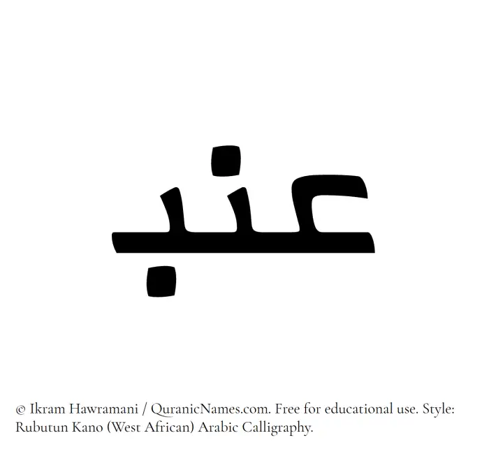 The Muslim name Inab written in Rubutun Kano calligraphic script