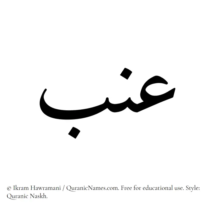 The Muslim name Inab written in Quranic naskh script