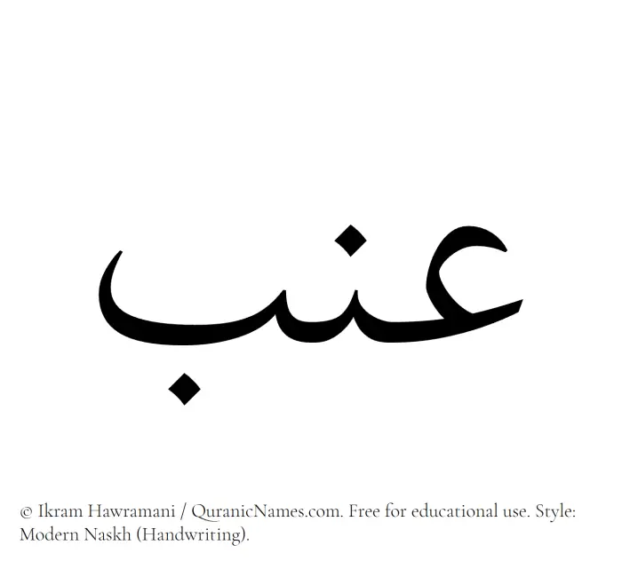 The Muslim name Inab written in naskh script