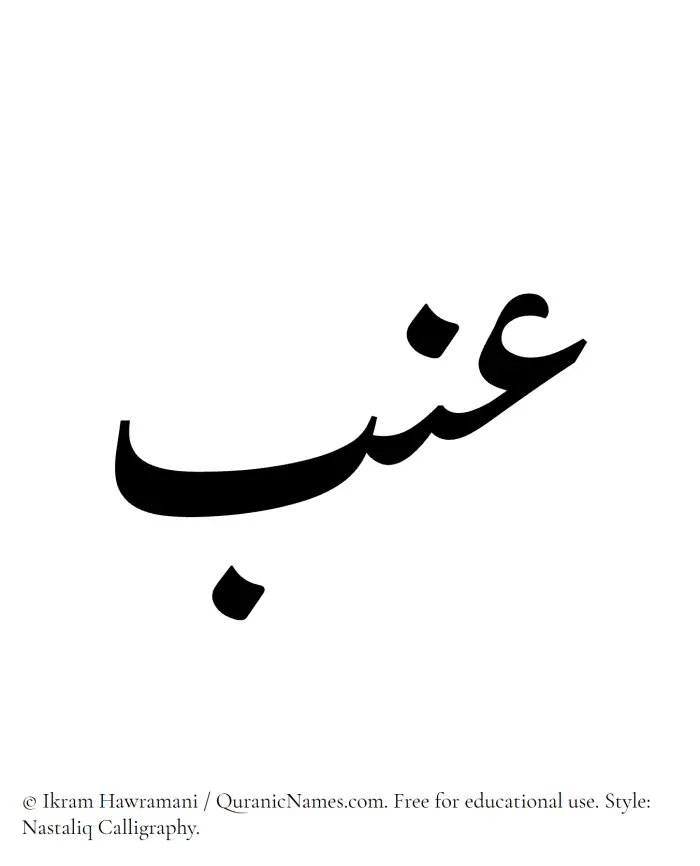 The Muslim name word Inab written in Nastaliq calligraphic script