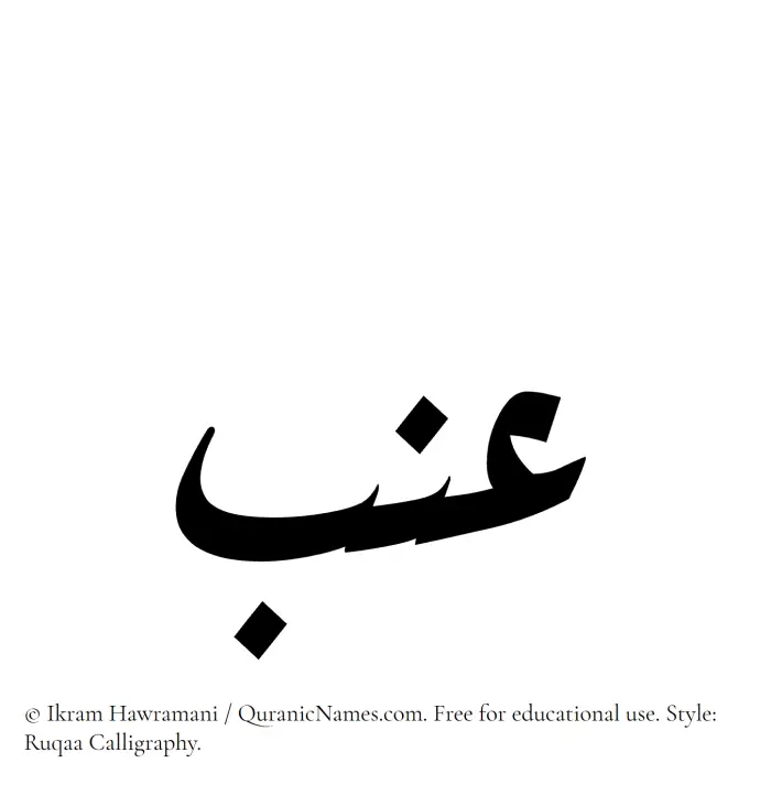 The Muslim name Inab written in Ruqaa calligraphic script
