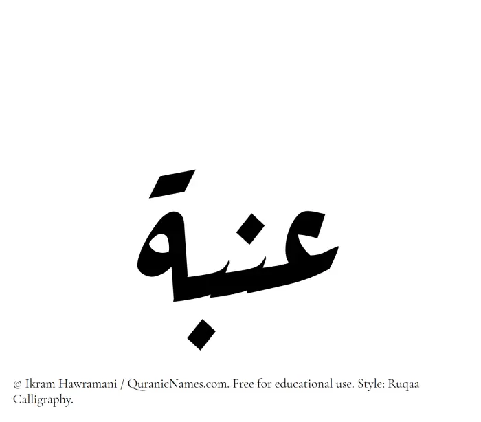 The Muslim name Inabah written in Ruqaa calligraphic script