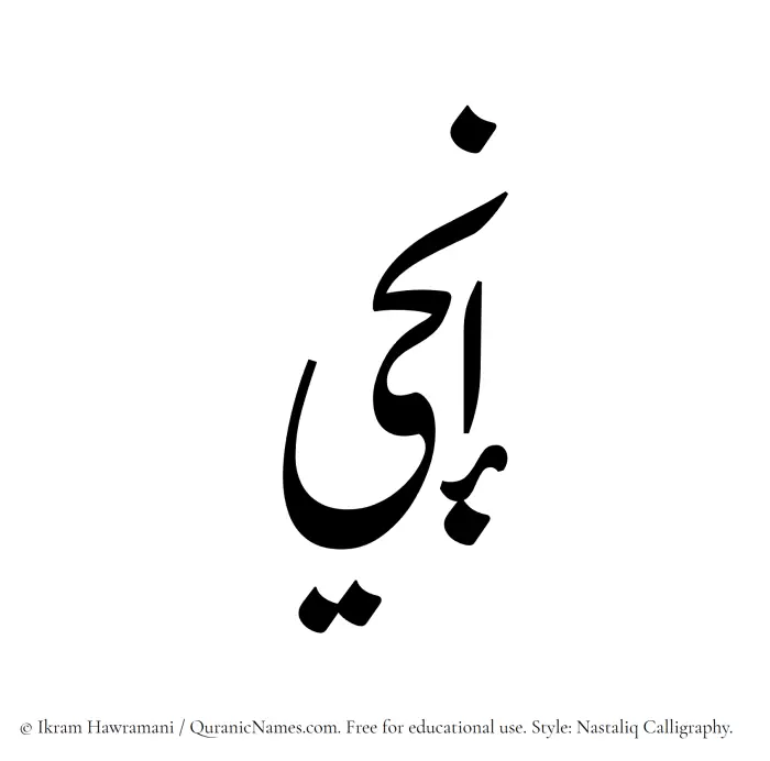 The Muslim name word Inji written in Nastaliq calligraphic script