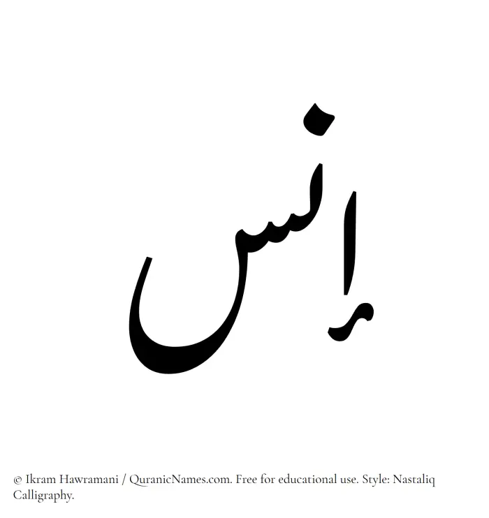 The Muslim name word Ins written in Nastaliq calligraphic script