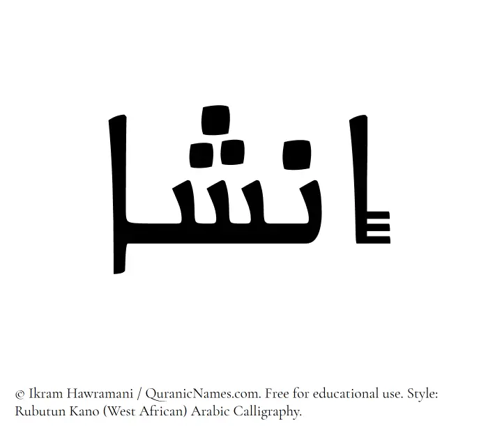 The Muslim name Insha written in Rubutun Kano calligraphic script