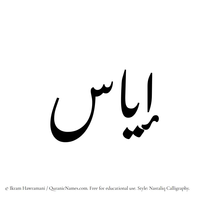 The Muslim name word Iyas written in Nastaliq calligraphic script