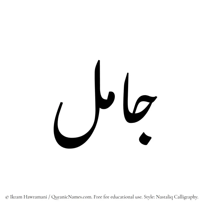 The Muslim name word Jaamil written in Nastaliq calligraphic script