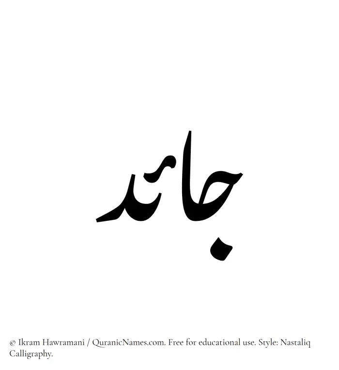 The Muslim name word Jaed written in Nastaliq calligraphic script