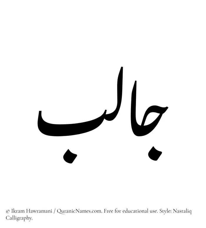 The Muslim name word Jalib written in Nastaliq calligraphic script