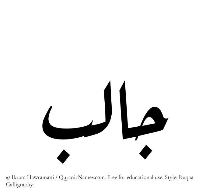 The Muslim name Jalib written in Ruqaa calligraphic script