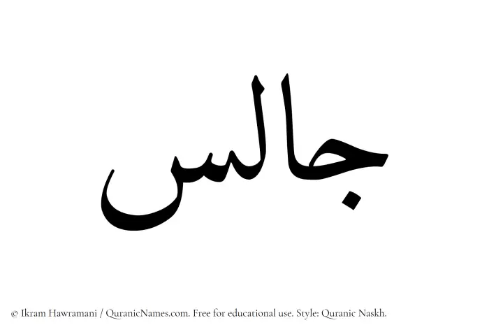 The Muslim name Jalis written in Quranic naskh script