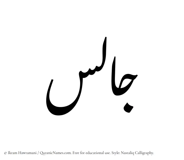 The Muslim name word Jalis written in Nastaliq calligraphic script