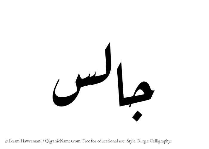The Muslim name Jalis written in Ruqaa calligraphic script