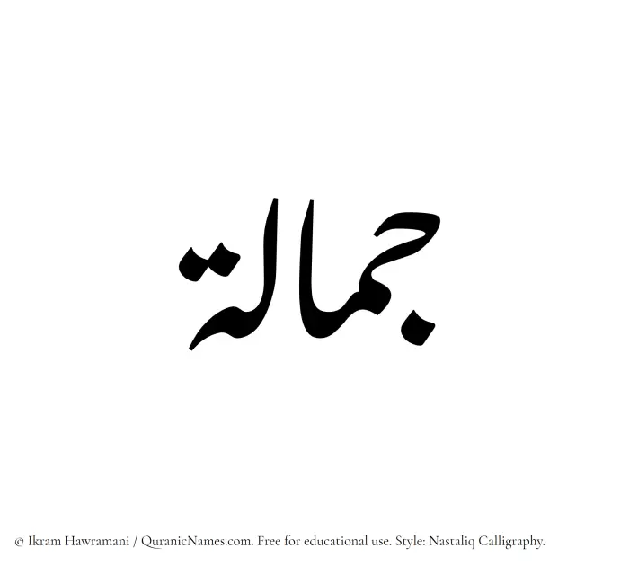 The Muslim name word Jamalah written in Nastaliq calligraphic script