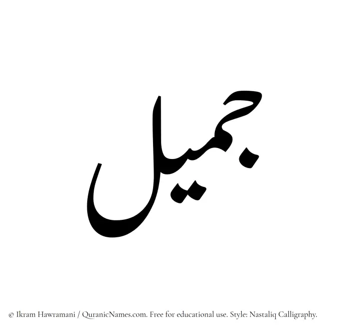 The Muslim name word Jamil written in Nastaliq calligraphic script