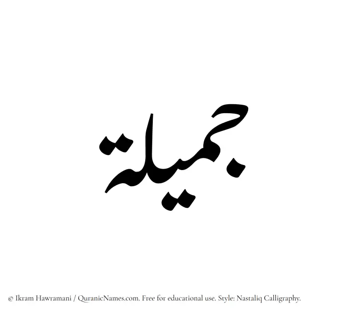The Muslim name word Jamila written in Nastaliq calligraphic script