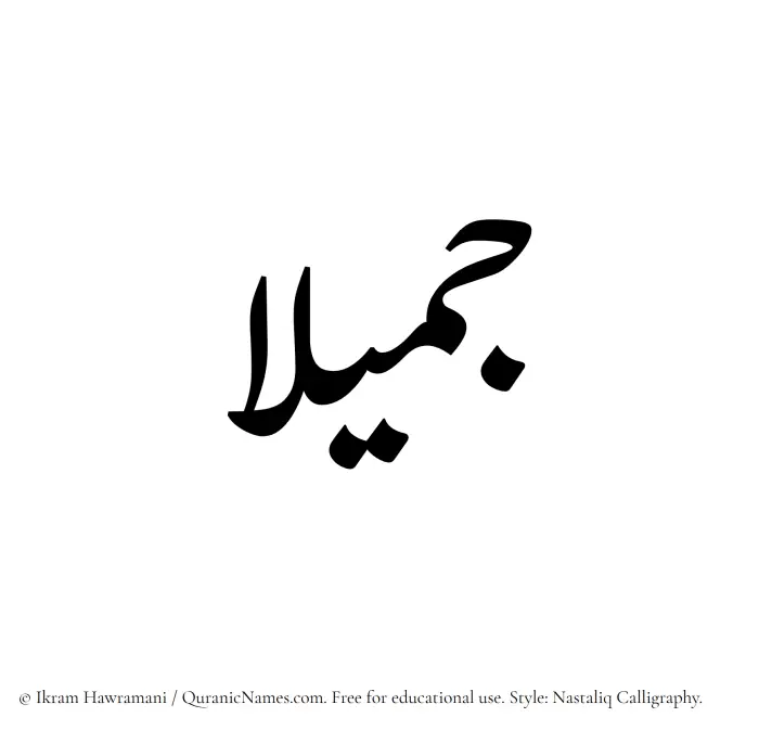 The Muslim name word Jamilaa written in Nastaliq calligraphic script