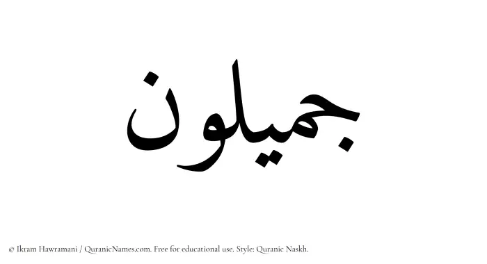 The Muslim name Jamiloun written in Quranic naskh script