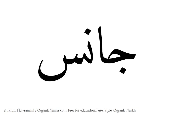 The Muslim name Janis written in Quranic naskh script