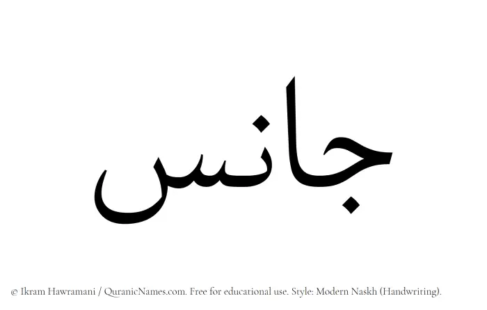 The Muslim name Janis written in naskh script