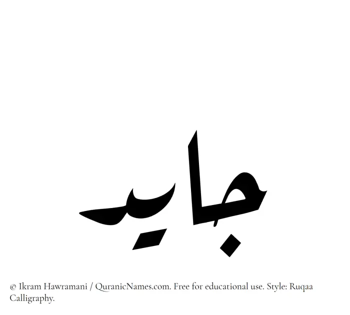 The Muslim name Jayed written in Ruqaa calligraphic script