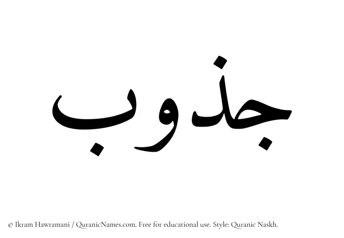 The Muslim name Jazub written in Quranic naskh script