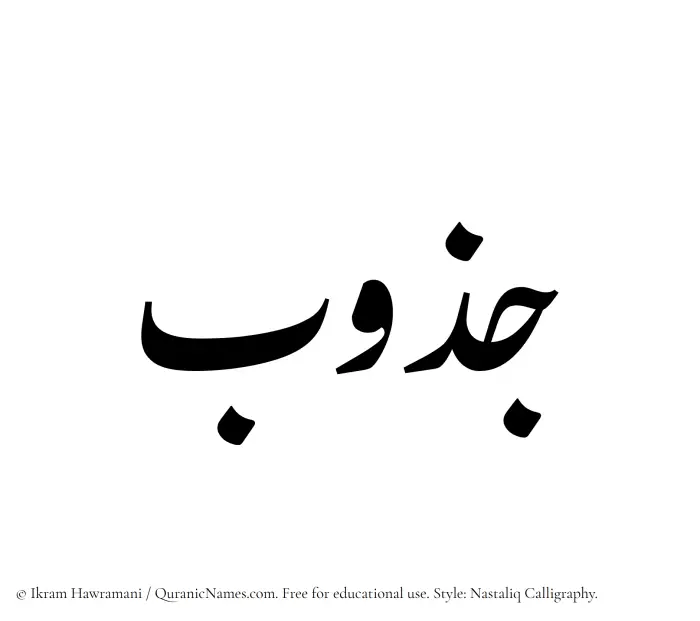 The Muslim name word Jazub written in Nastaliq calligraphic script