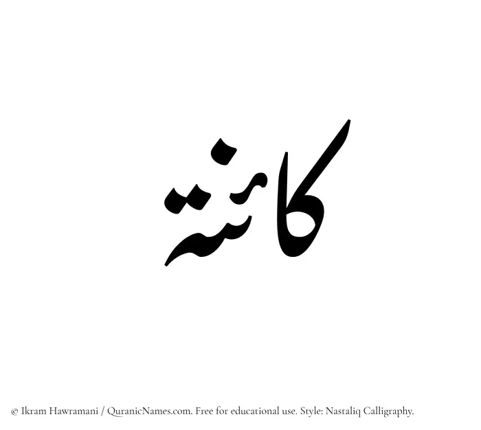 The Muslim name word Kaina written in Nastaliq calligraphic script