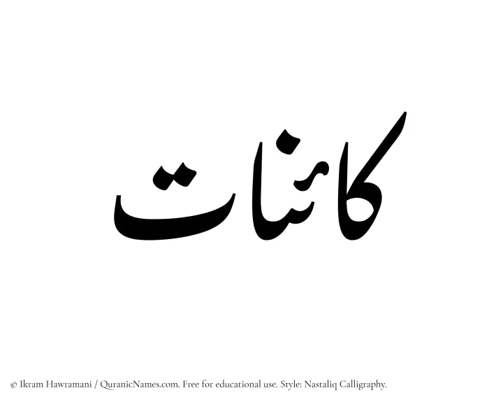 The Muslim name word Kainaat written in Nastaliq calligraphic script
