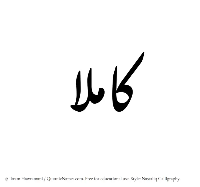 The Muslim name word Kamilaa written in Nastaliq calligraphic script