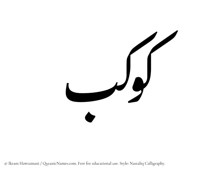 The Muslim name word Kawkab written in Nastaliq calligraphic script