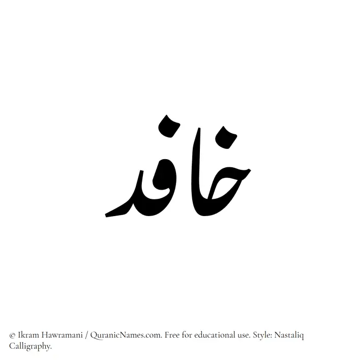 The Muslim name word Khafid written in Nastaliq calligraphic script