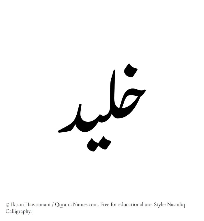The Muslim name word Khaleed written in Nastaliq calligraphic script