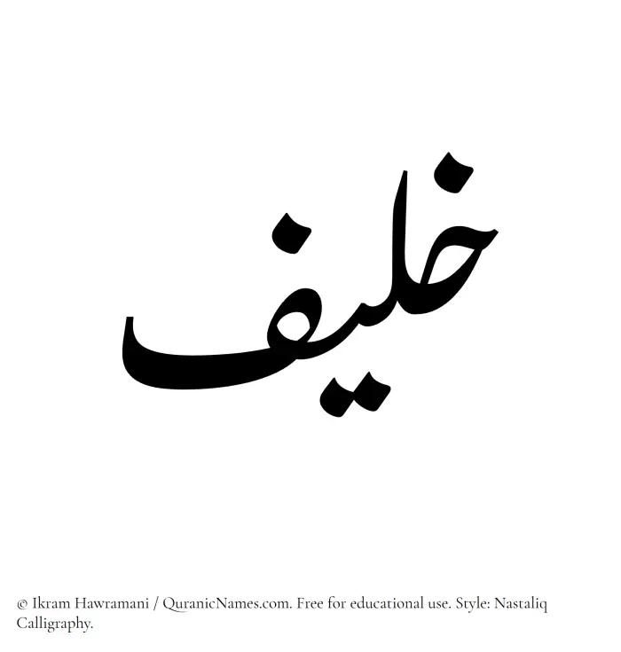 The Muslim name word Khaleef written in Nastaliq calligraphic script