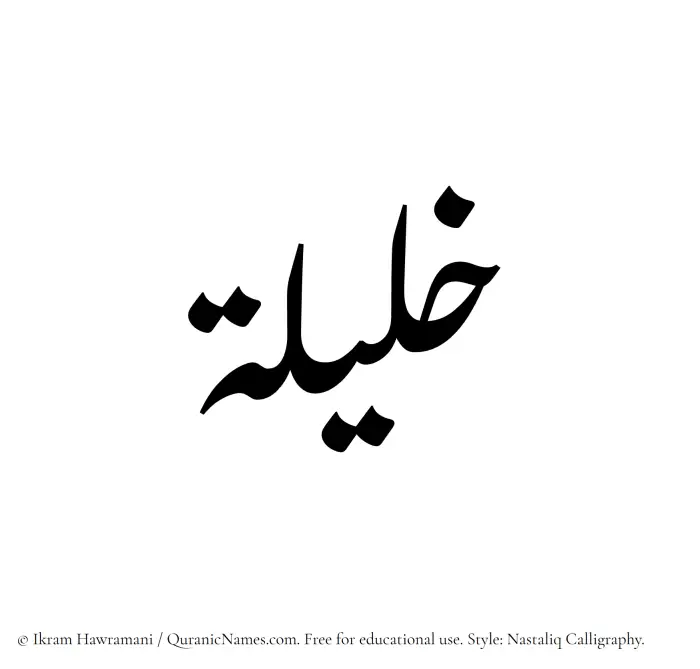 The Muslim name word Khaleela written in Nastaliq calligraphic script