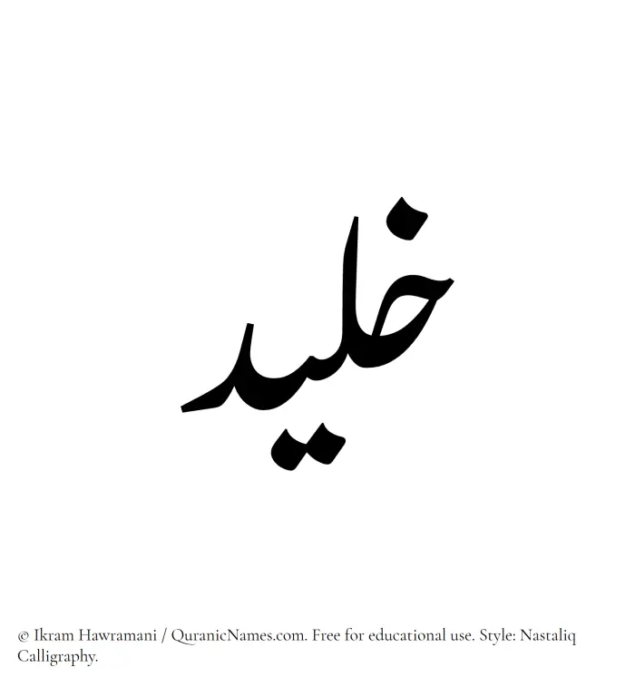 The Muslim name word Khulaid written in Nastaliq calligraphic script