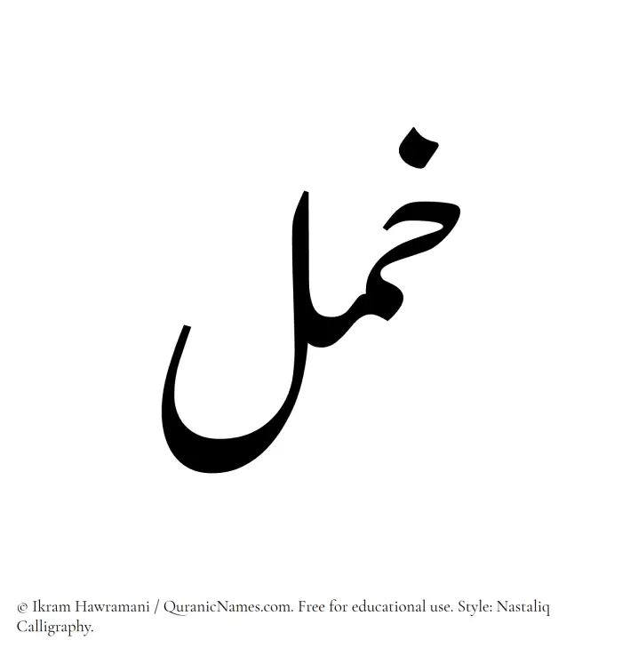 The Muslim name word Khuml written in Nastaliq calligraphic script