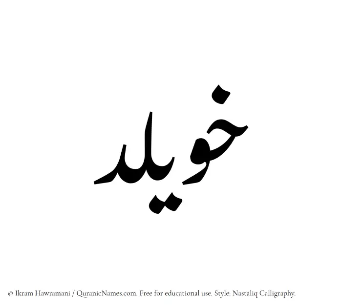 The Muslim name word Khuwailid written in Nastaliq calligraphic script