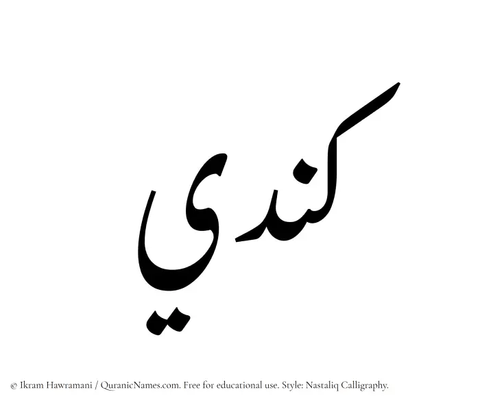 The Muslim name word Kindi written in Nastaliq calligraphic script