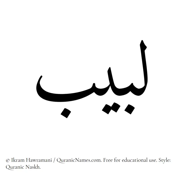 The Muslim name Labeeb written in Quranic naskh script