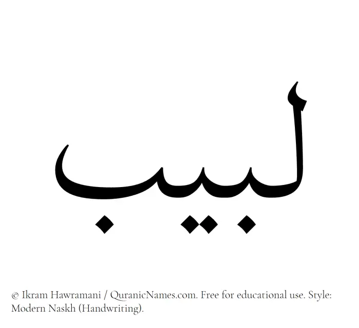 The Muslim name Labeeb written in naskh script